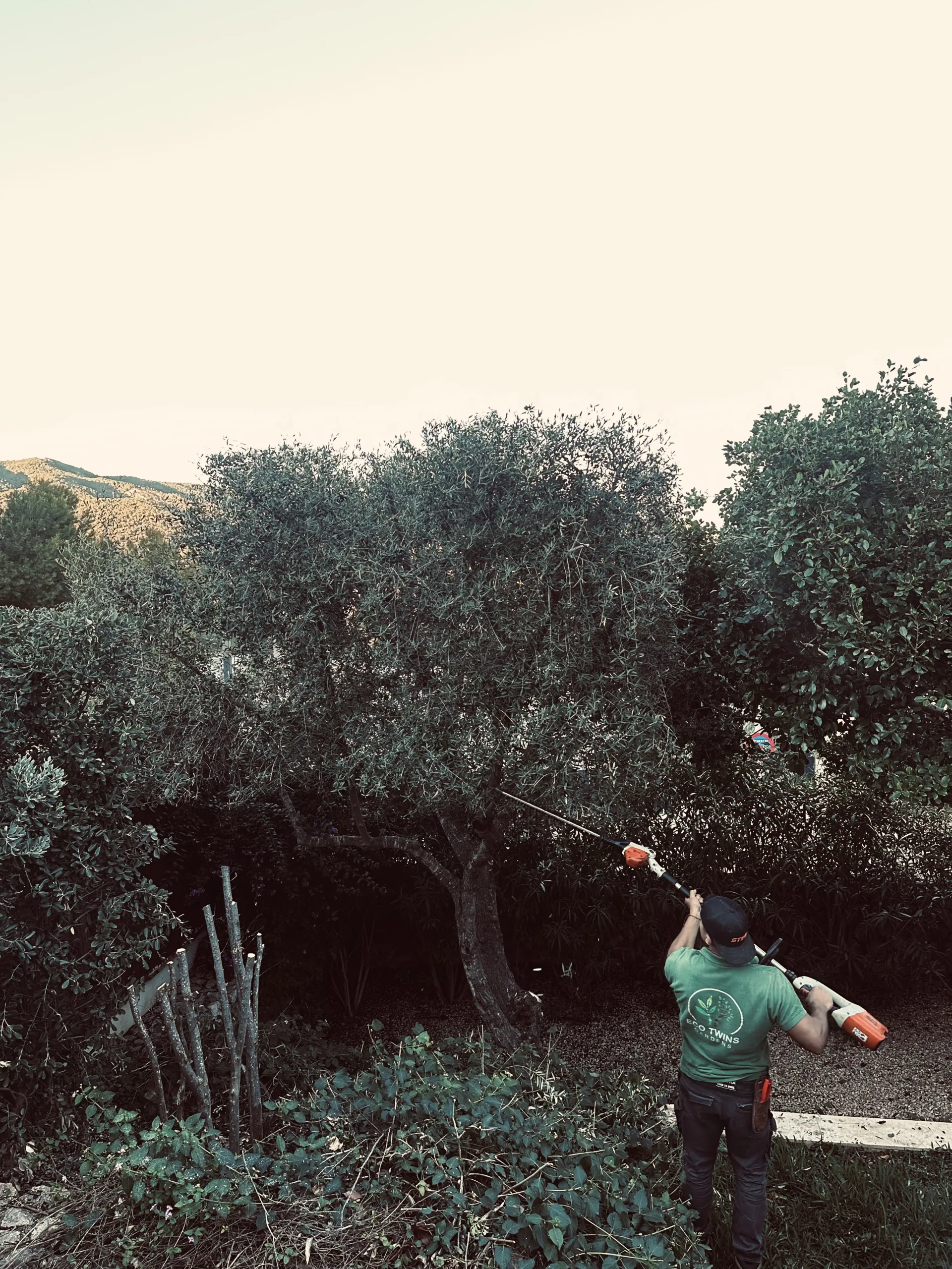 Desbroce y Limpieza Profesional de Jardines