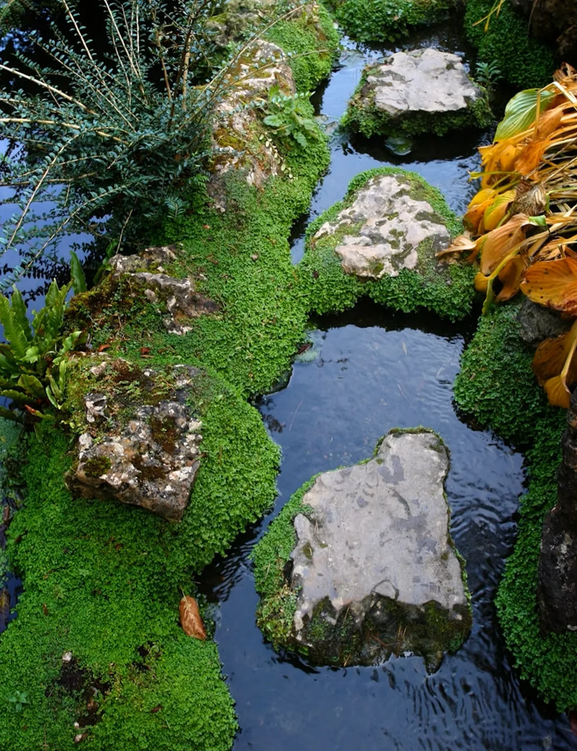 Diseño de Jardines a Medida