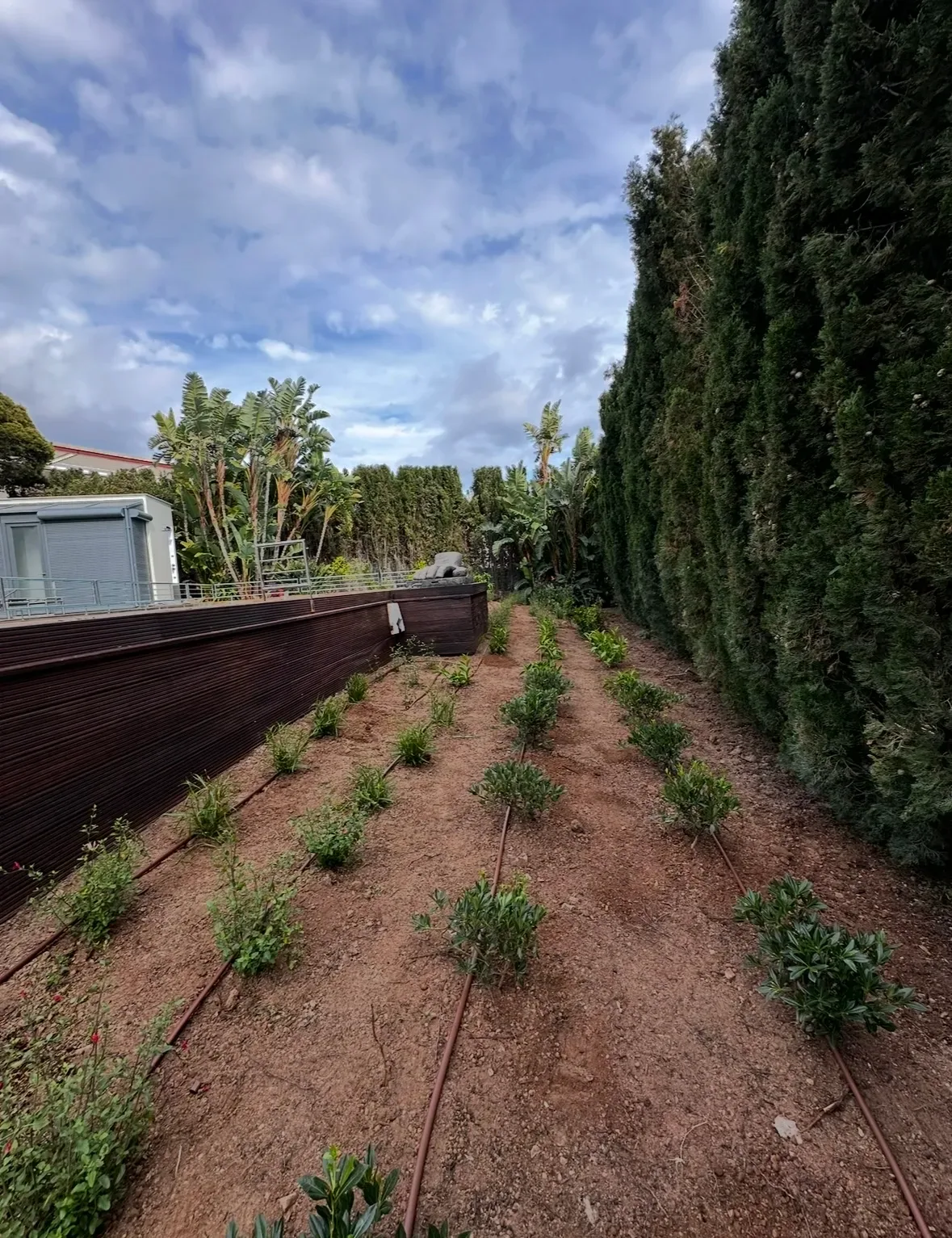 Instalación de Sistemas de Riego Eficiente